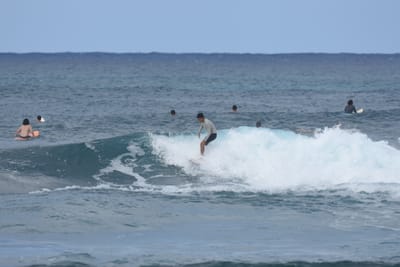 DSC_8587.JPG