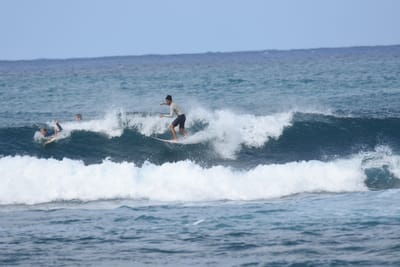 DSC_8588.JPG