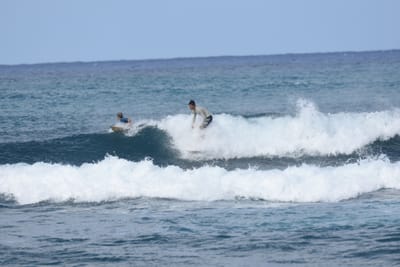 DSC_8590.JPG