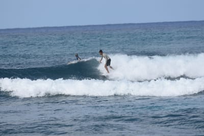 DSC_8591.JPG