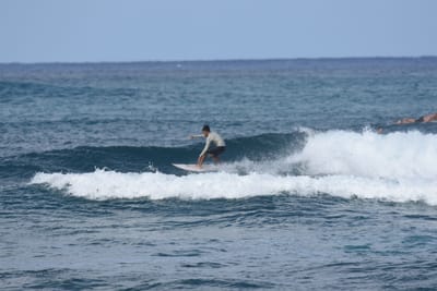 DSC_8593.JPG