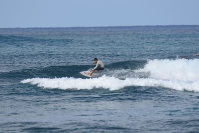 DSC_8594.JPG