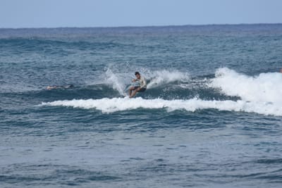 DSC_8596.JPG
