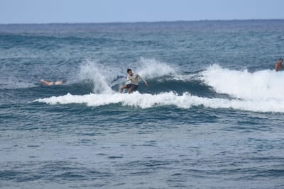 DSC_8597.JPG