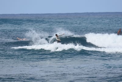 DSC_8598.JPG