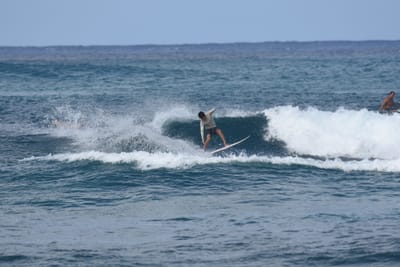 DSC_8599.JPG