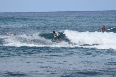 DSC_8600.JPG