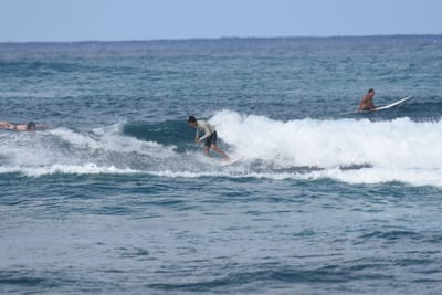 DSC_8601.JPG