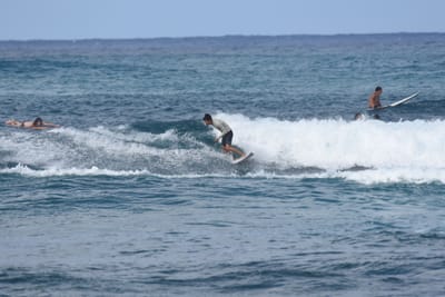 DSC_8602.JPG