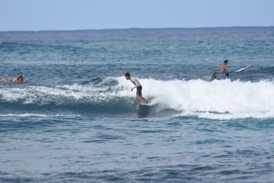 DSC_8603.JPG