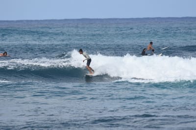DSC_8604.JPG