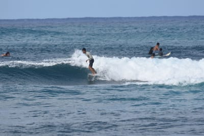 DSC_8605.JPG