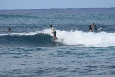 DSC_8606.JPG