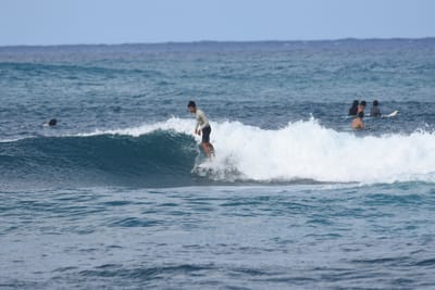 DSC_8607.JPG