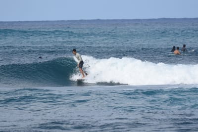 DSC_8608.JPG