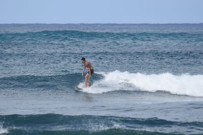 DSC_8609.JPG