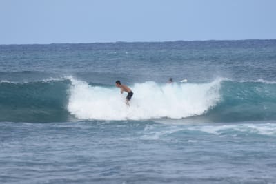 DSC_8613.JPG