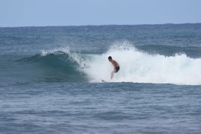 DSC_8616.JPG