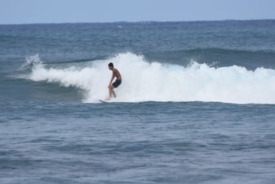 DSC_8617.JPG