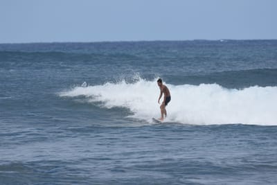 DSC_8618.JPG