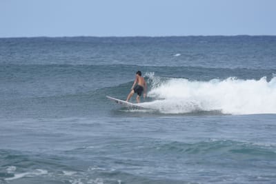 DSC_8626.JPG