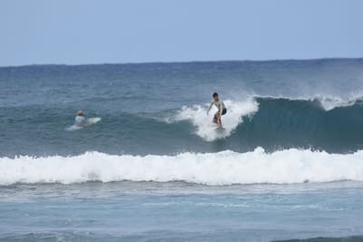 DSC_8628.JPG