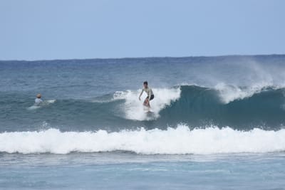 DSC_8629.JPG