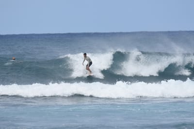 DSC_8630.JPG