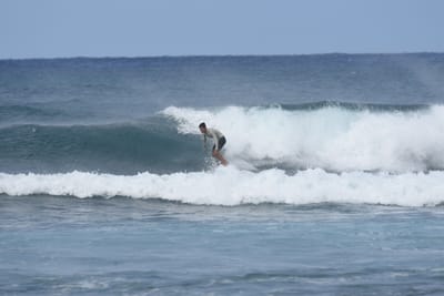 DSC_8633.JPG