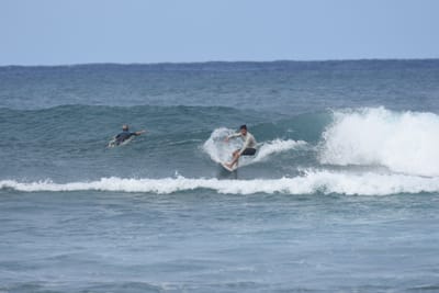 DSC_8638.JPG
