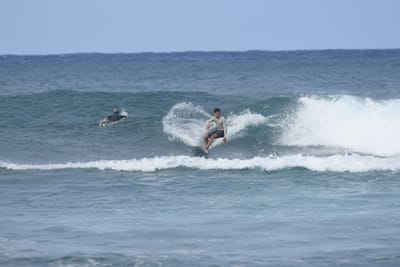 DSC_8639.JPG