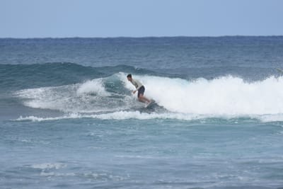 DSC_8644.JPG