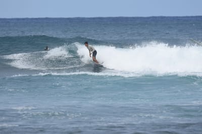 DSC_8645.JPG
