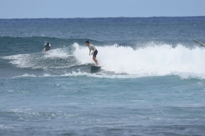 DSC_8646.JPG