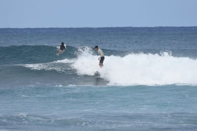 DSC_8647.JPG