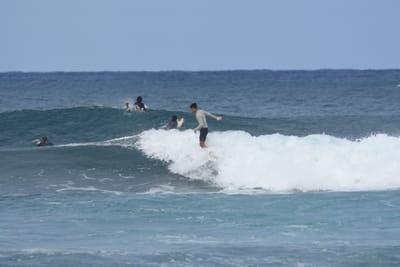 DSC_8648.JPG