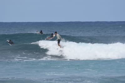 DSC_8649.JPG