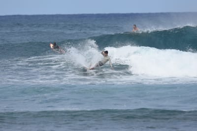 DSC_8651.JPG