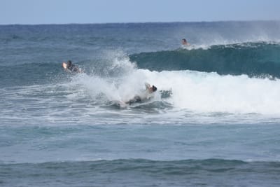 DSC_8652.JPG