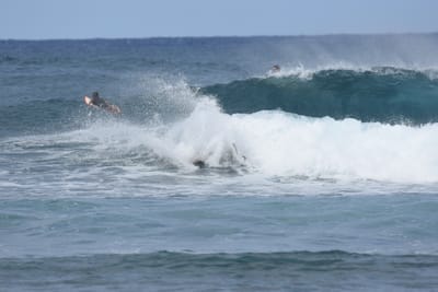 DSC_8653.JPG