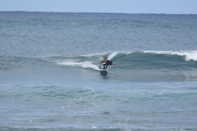 DSC_8655.JPG
