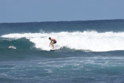 DSC_8658.JPG