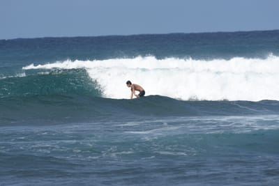 DSC_8660.JPG