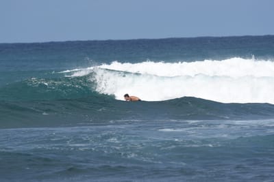 DSC_8661.JPG
