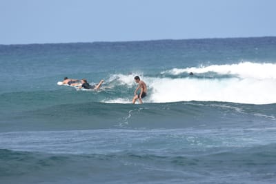 DSC_8663.JPG