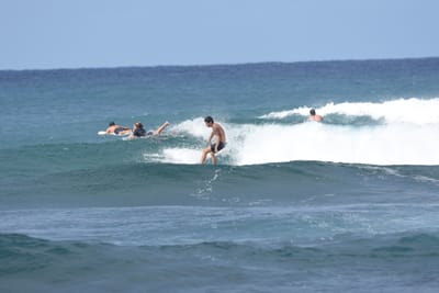 DSC_8664.JPG