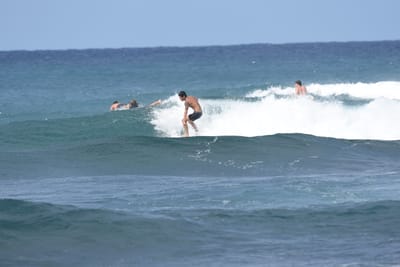 DSC_8665.JPG