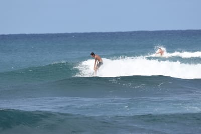 DSC_8666.JPG