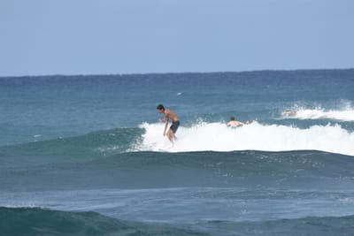 DSC_8667.JPG