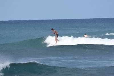 DSC_8668.JPG
